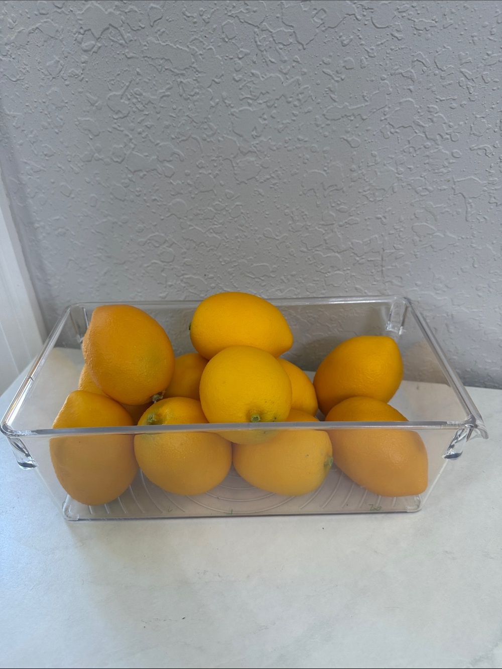 🍋Bright Yellow lemons faux